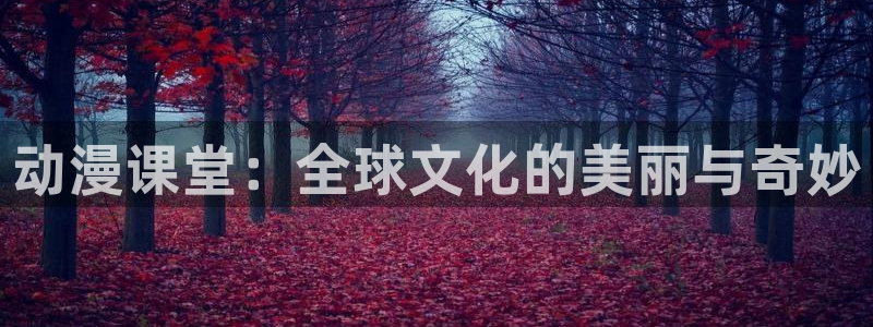 动漫屋网