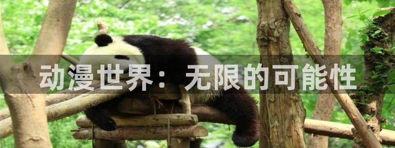 动漫屋特别版下载